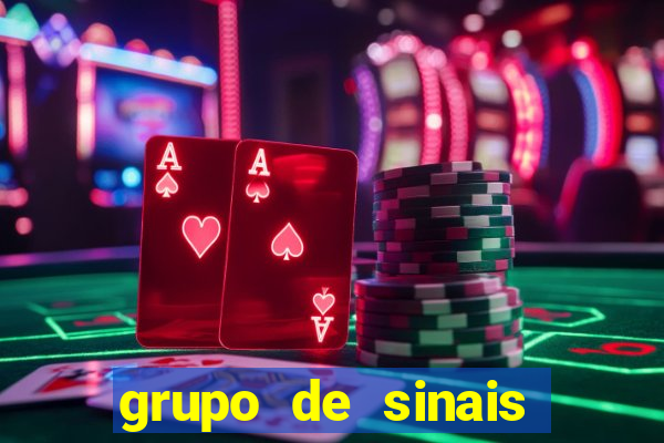 grupo de sinais fortune rabbit